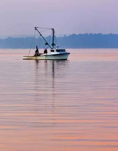 Click to view full screen - Oysters at Daybreak